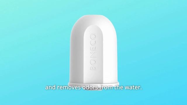 BONECO Aqua Pro 2-in-1 Humidifier Filter A250 Review