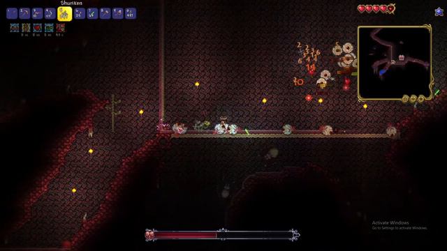 Terraria.exe смотреть онлайн