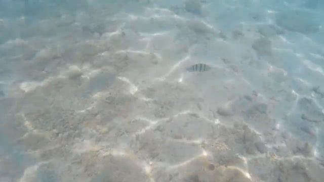 Остров Пхи-Пхи Дон. Пляж Long beach. Рыбки. смотреть онлайн