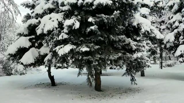 Хрустальный 1 - 10 серии (сериал 2022) смотреть онлайн