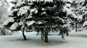 Хрустальный 1 - 10 серии (сериал 2022)