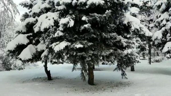 Хрустальный 1 - 10 серии (сериал 2022)