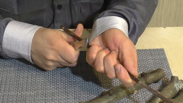 Прививка клином смотреть онлайн