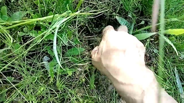 Травка для брутальных мужчин👍 смотреть онлайн