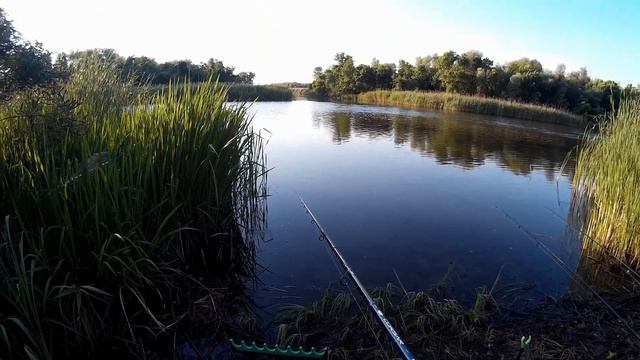 5 мягких насадок обловили убийцу карася. Рыбалка на Ингулке, Понятовка Ловля карася на фидер и донк смотреть онлайн
