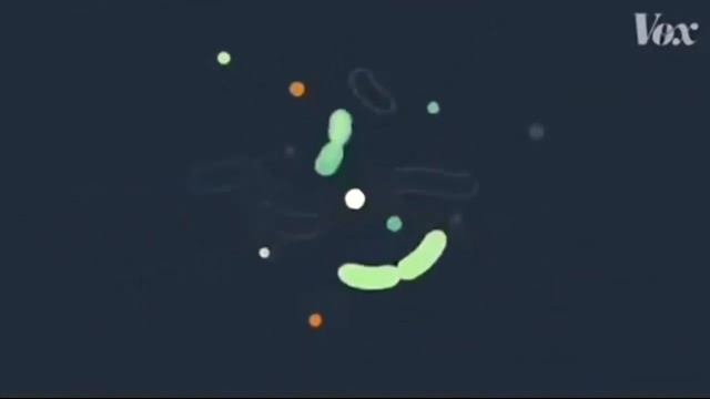 Coronavirus Usefull Information to avoid infection, understanding its important !!!! смотреть онлайн