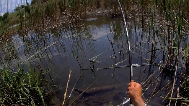 Рыбалка на карпа на простую поплавочную удочку! Ловля карпа и карася на поплавочную удочку смотреть онлайн