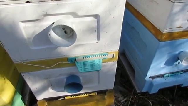 проблемы связанные с весеннем расширением пчел, на что необходимо обратить внимание смотреть онлайн