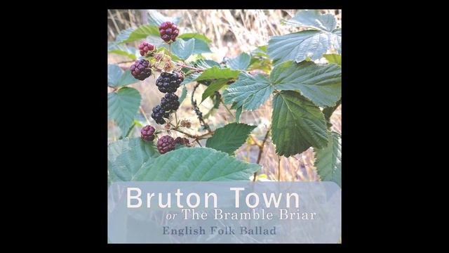 Bruton Town or The Bramble Briar (English Folk Ballad) смотреть онлайн