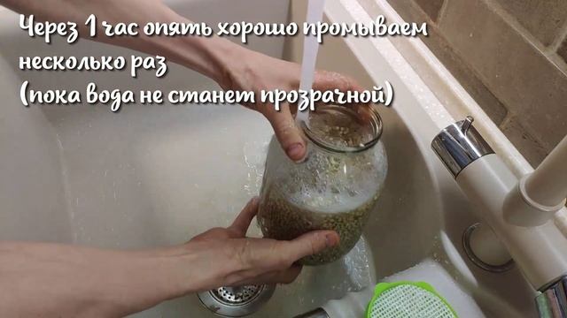 Как легко и без заморочек прорастить ? зелёную гречку? смотреть онлайн