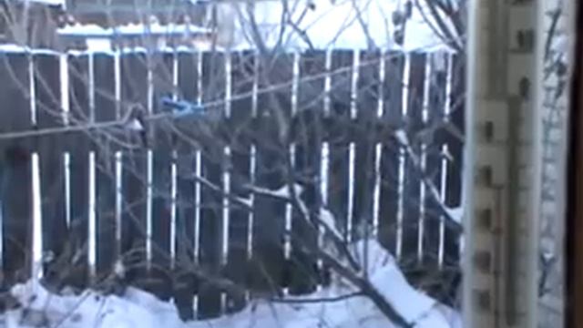 Босиком по снегу. смотреть онлайн