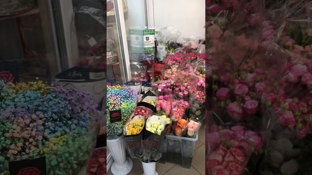 Свежие цветочки в холодильной камере смотреть онлайн