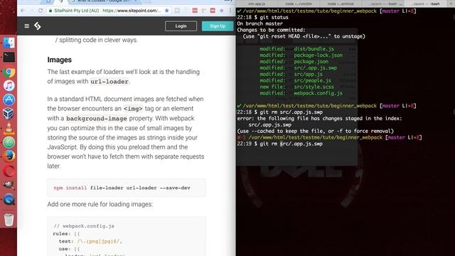 Configure Webpack with image-loader, sass-loader, code-splitting, multiple entries and more смотреть онлайн