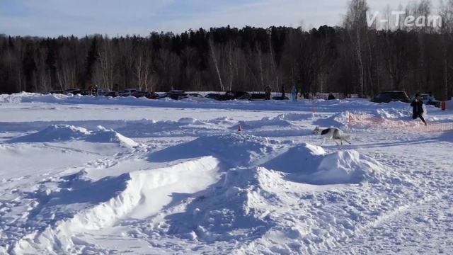РПБ VOLYA VOL’NAYA GORDAYA RUS’ (К) - Друг Серебряный Игра Осенняя Сказка (С). МЗ - 2018.