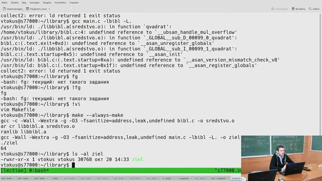 ТПиАК 8. Библиотеки смотреть онлайн