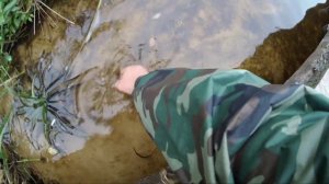 Щука в Обед ??? ll Kopyto в Деле ll Спиннинг в Октябре ll Relax ll Беларусь