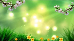 Фон для видеомонтажа Весна Video Background