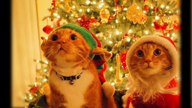 Всех с НГ!!! Видео-поздравление от Positive Alex. смотреть онлайн