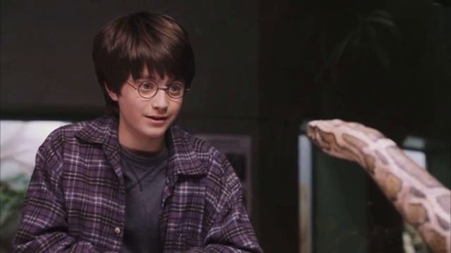 День, когда Гарри Поттер впервые заговорил со змеей. смотреть онлайн