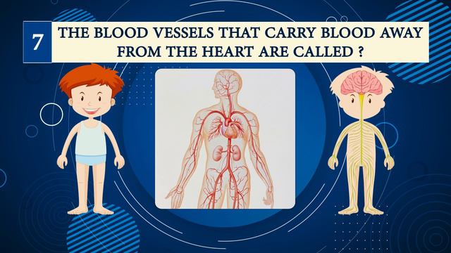 Human Body Quiz | Know Your Body | General Knowledge | GK Question Answer | смотреть онлайн