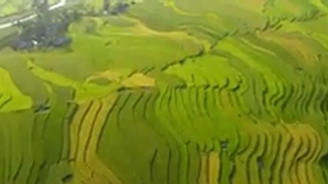 Музыка Для Души - Самая красивая музыка, можно слушать бесконечно Сергей Грищук! Трогательная #2 смотреть онлайн