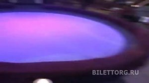 Цирк на пр. Вернадского схема зала, сектора А, Е, Г