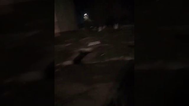 ета салют штоли ? смотреть онлайн