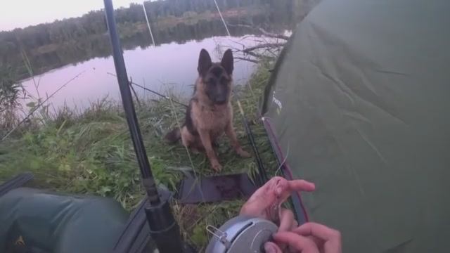 24 ЧАСА НА РЫБАЛКЕ. НОЧЬ В ПАЛАТКЕ