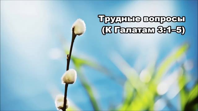 Тихое время с Живой Жизнью: к Галатам 3:1–9 (05042019) смотреть онлайн