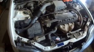 Хонда партнёр свап МКПП