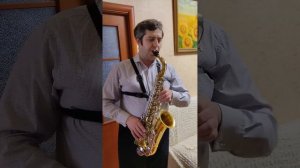 Я куплю тебе дом у пруда в Подмосковье.. (Белый лебедь на пруду) саксофон
