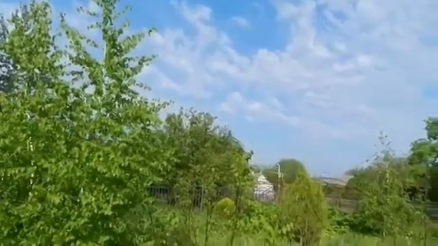 Я В ВЕСЕННЕМ ЛЕСУ ПИЛ БЕРЁЗОВЫЙ СОК смотреть онлайн
