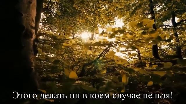 «Сухой» и «мокрый» кашель у ребенка — как его лечить — Статья смотреть онлайн