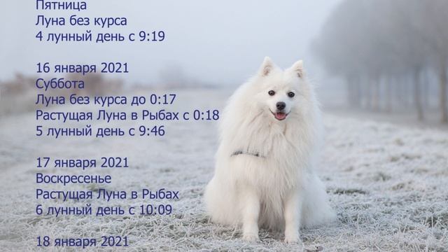 Какой сегодня день? Лунный календарь на Январь 2021 смотреть онлайн
