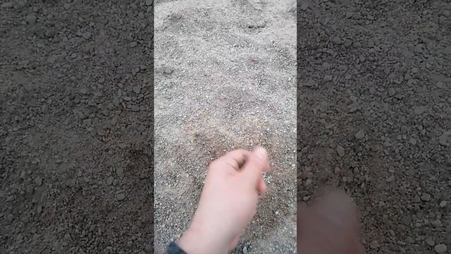 Песок 03 04 мытый для бетона \ подсыпка песком без глины дорожек \ песок для стройке \все о песке смотреть онлайн