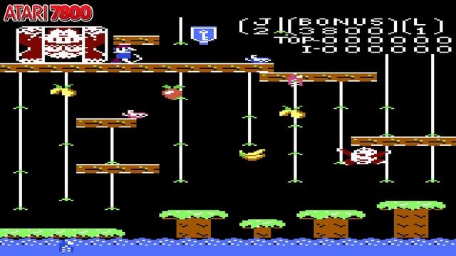 Donkey Kong Jr. (1982) Atari 2600 Vs Atari 5200 Vs Atari 7800 Vs ColecoVision  Vs NES Vs Switch
