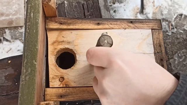 Готовим скворечник к весне.