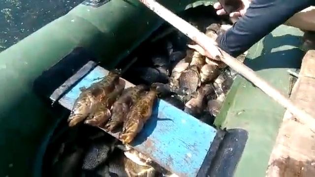 Вот это улов ...... смотреть онлайн