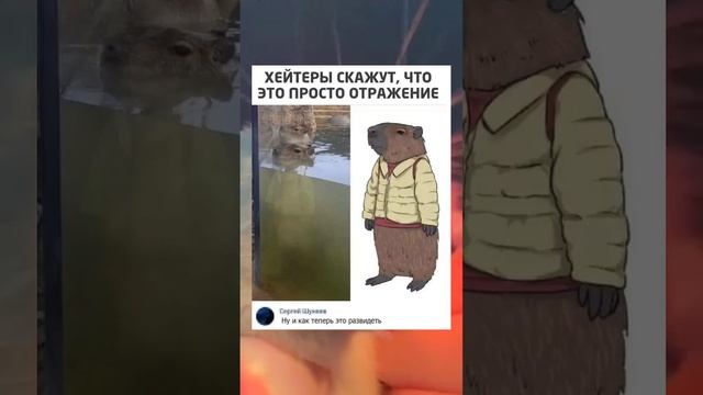 #short #shorts #мем #мемы #прикол #юмор #юмор смотреть онлайн