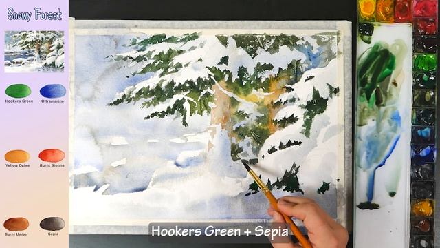 Basic Landscape Watercolor - Snowy Forest (color Name, Watercolor Material View)