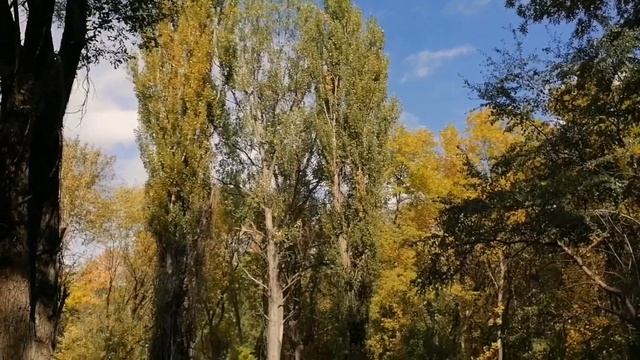 Осенний блюз | с. Гражданское - Родина моя | Природа Ставрополья | Кавказские Минеральные Воды смотреть онлайн