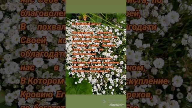 В Котором мы имеем искупление Кровию Его,прощение грехов К Ефесянам1 7..Svetlana Laakkonen смотреть онлайн