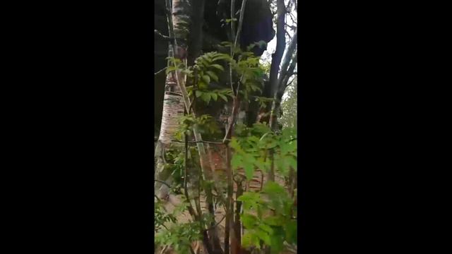 Каменный город Пермский край смотреть онлайн