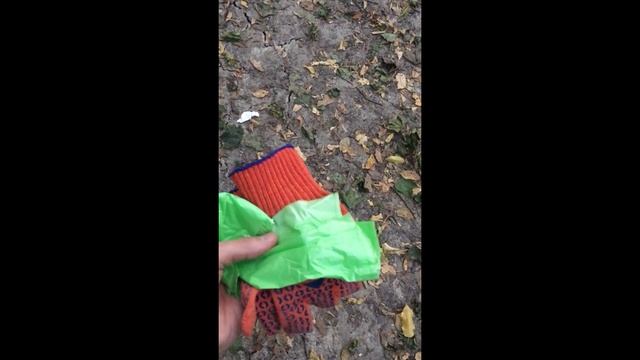 Голосеевский парк, Киев, часть 1 смотреть онлайн