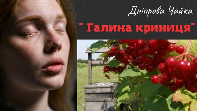 Дніпрова Чайка " Галина криниця" смотреть онлайн