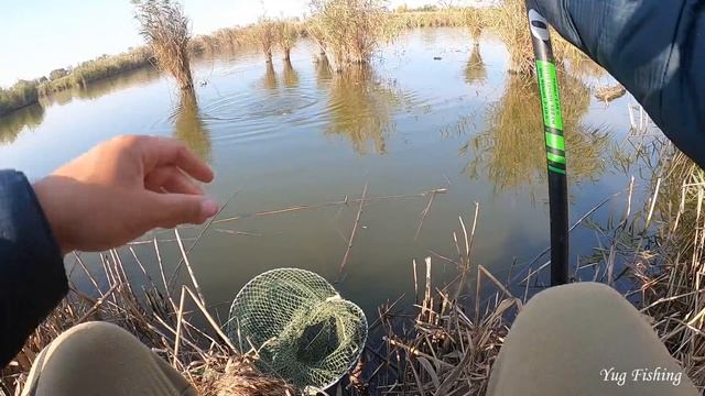 НОЯБРЬ, КРУПНЫЙ КРАСЬ НА ПОПЛАВОК, РЫБАЛКА НА УДОЧКУ смотреть онлайн