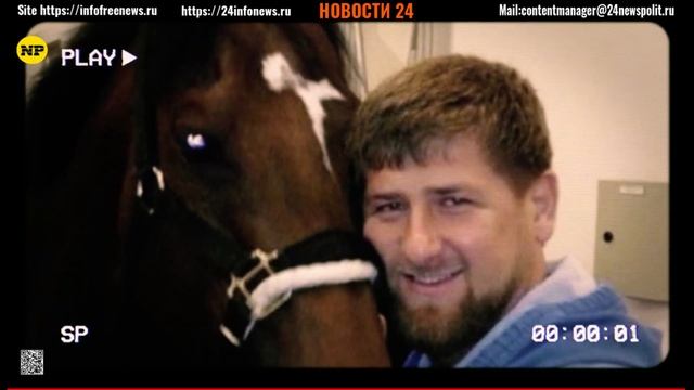 ПАНИКА ПО ВСЕЙ ЧЕЧНЕ! КТО УКРАЛ У КАДЫРОВА ЖЕРЕБЦА ЗА 10 000 000$ смотреть онлайн