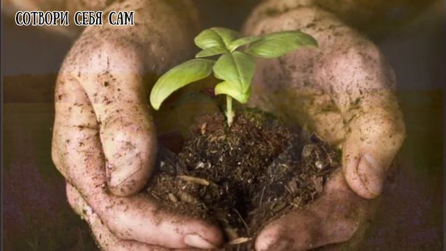 Сотвори себя сам🙏😇💪 #притча смотреть онлайн