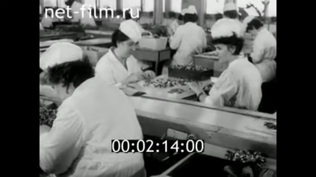 1986г. Смоленск. завод имени 25-го партсъезда. техникум электронных приборов смотреть онлайн