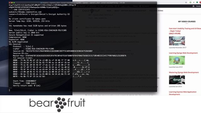 How to test HTTPS SSL Websites with Telnet смотреть онлайн
